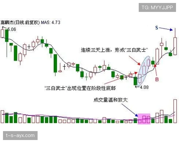 马尔蒂诺国家队执教表现稳健，近期战绩走势清晰