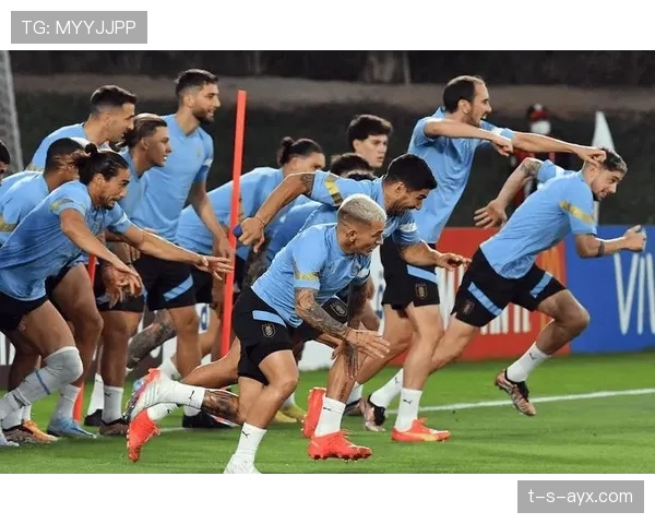 乌拉圭队攻防平衡 乌拉圭队攻防平衡