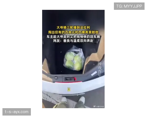 费德勒开法拉利去菜市场，阿姨盯着车看半天还想砍价